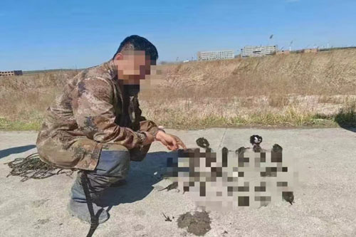 大慶公安連破兩起非法狩獵案件