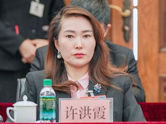 黑龙江"两会"声音|许洪霞:搭建数字化产业集群 以新质生产力助推龙江